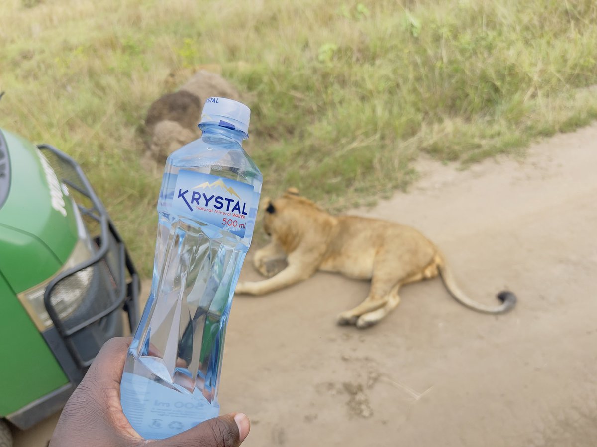 KLaCitizen's tweet image. Queen Elizabeth national park previously known as Kazinga national park gazetted in 1952, while here you have higher chances of spotting the lions more than anywhere else in Ugandan parks. Boat cruise along the Kazinga channel, lake Katwe visit for salt mining