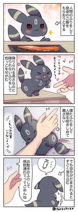 人間を騙すようになった赤ちゃんブラッキー 