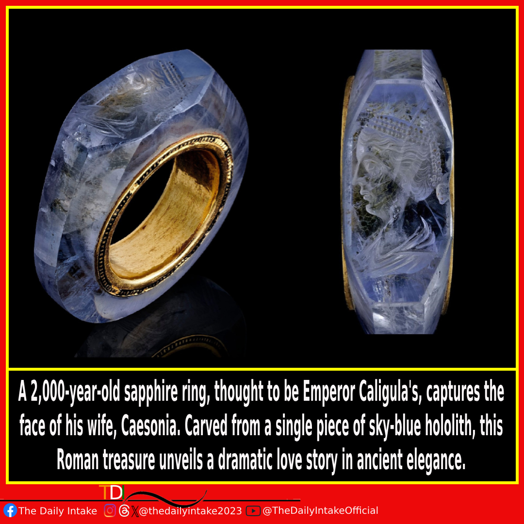 Timeless romance etched in blue hues: Emperor Caligula's 2,000-year-old sapphire ring unveils the face of his beloved, Caesonia. 💙✨ #AncientLoveStory #CaligulaLegacy #SapphireElegance #TheDailyIntake
