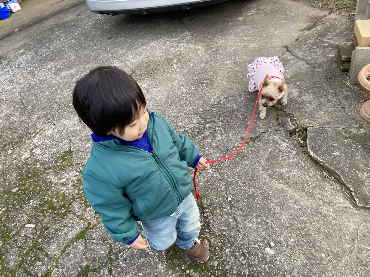 sorataro0502's tweet photo. ばーばん家の犬の散歩💮 https://t.co/R1cRwyYT3j