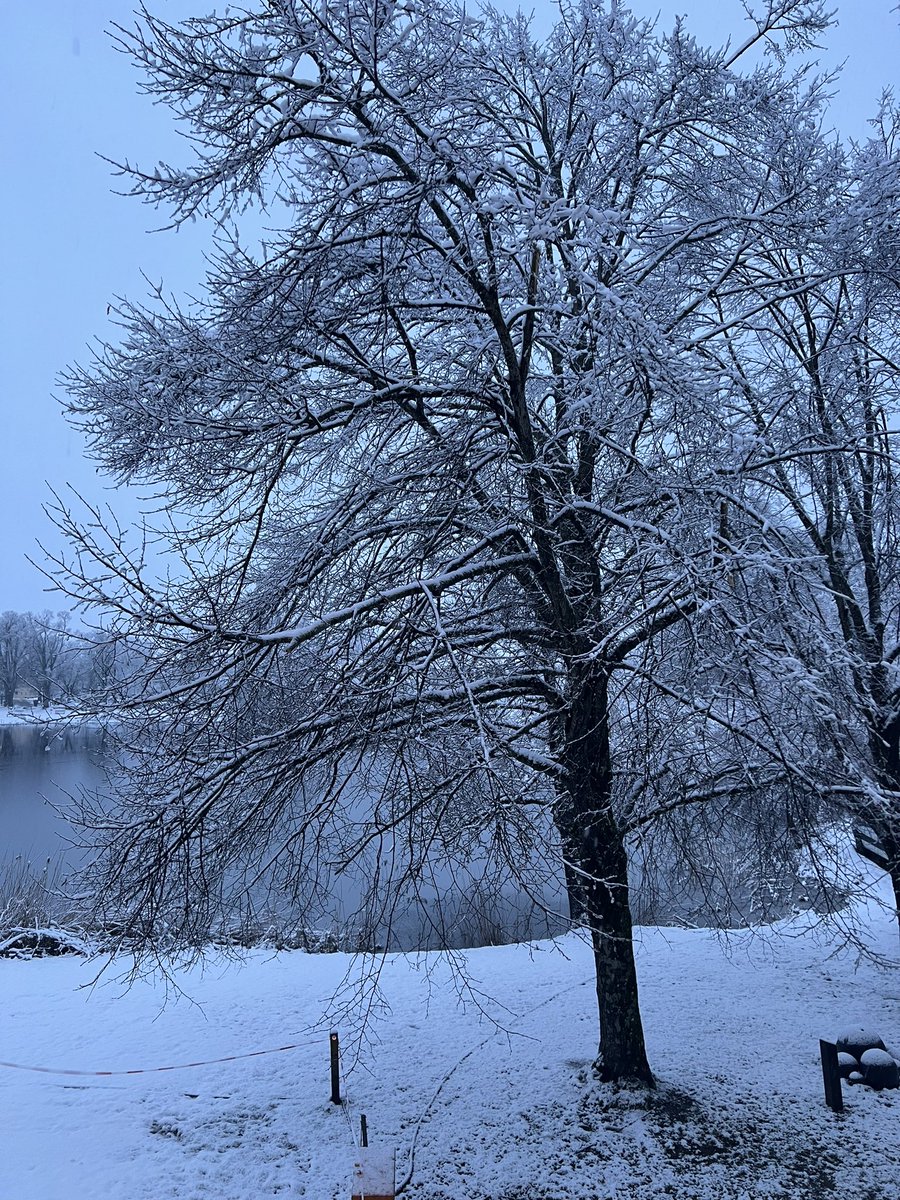 tutanch's tweet photo. #snow in #Seeon24 https://t.co/ecxkBFPkOv