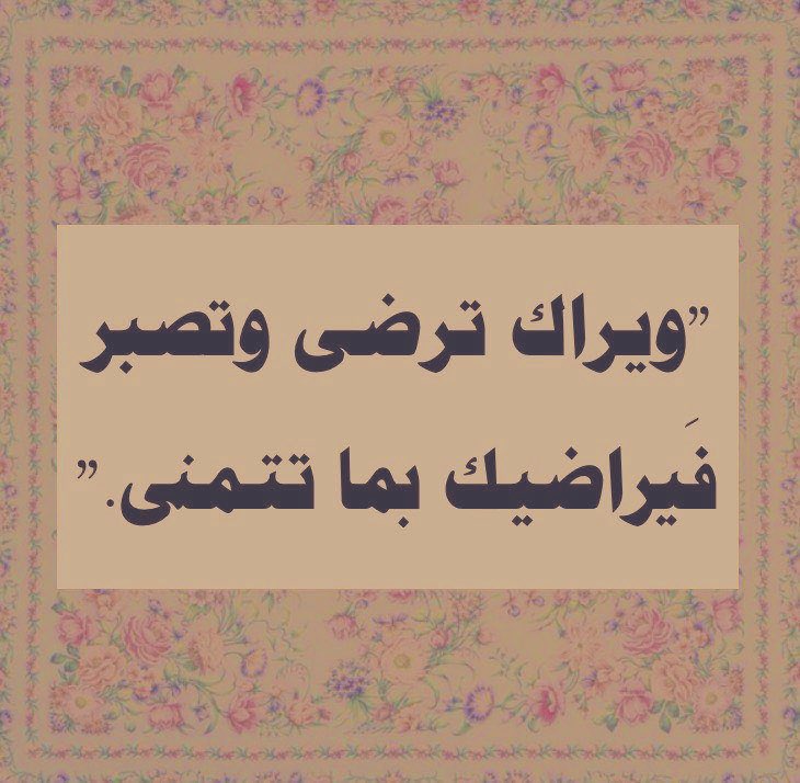 Almani_y's tweet photo. https://t.co/G0tZbuQiPA