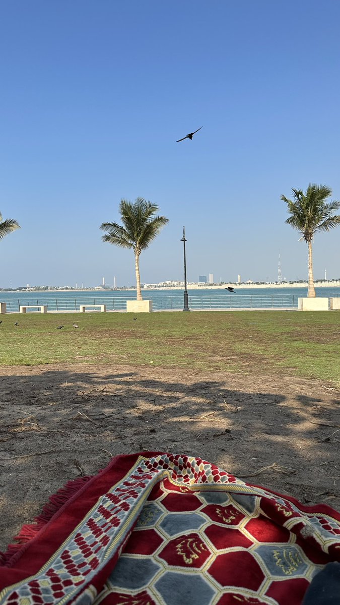 Kkeemmoo_7's tweet photo. مرت مريم بنت عمران بموقف عصيب، و مع ذلك قيل لها
﴿ فَكُلِى وَٱشْرَبِى وَقَرِّى عَيْنًا ﴾

عش حياتك ولا ترهق نفسك بالتفكير، فالله عنده حسن التدبير. انشروا الطمأنينة والثقة بالله فرج قريب وتوكلوا على الله في كل الأمور.
﴿ وَفي السَّمَاءِ رِزْقُكُمْ ومَا تُوعَدُون ﴾ https://t.co/ftOFdn6PCV