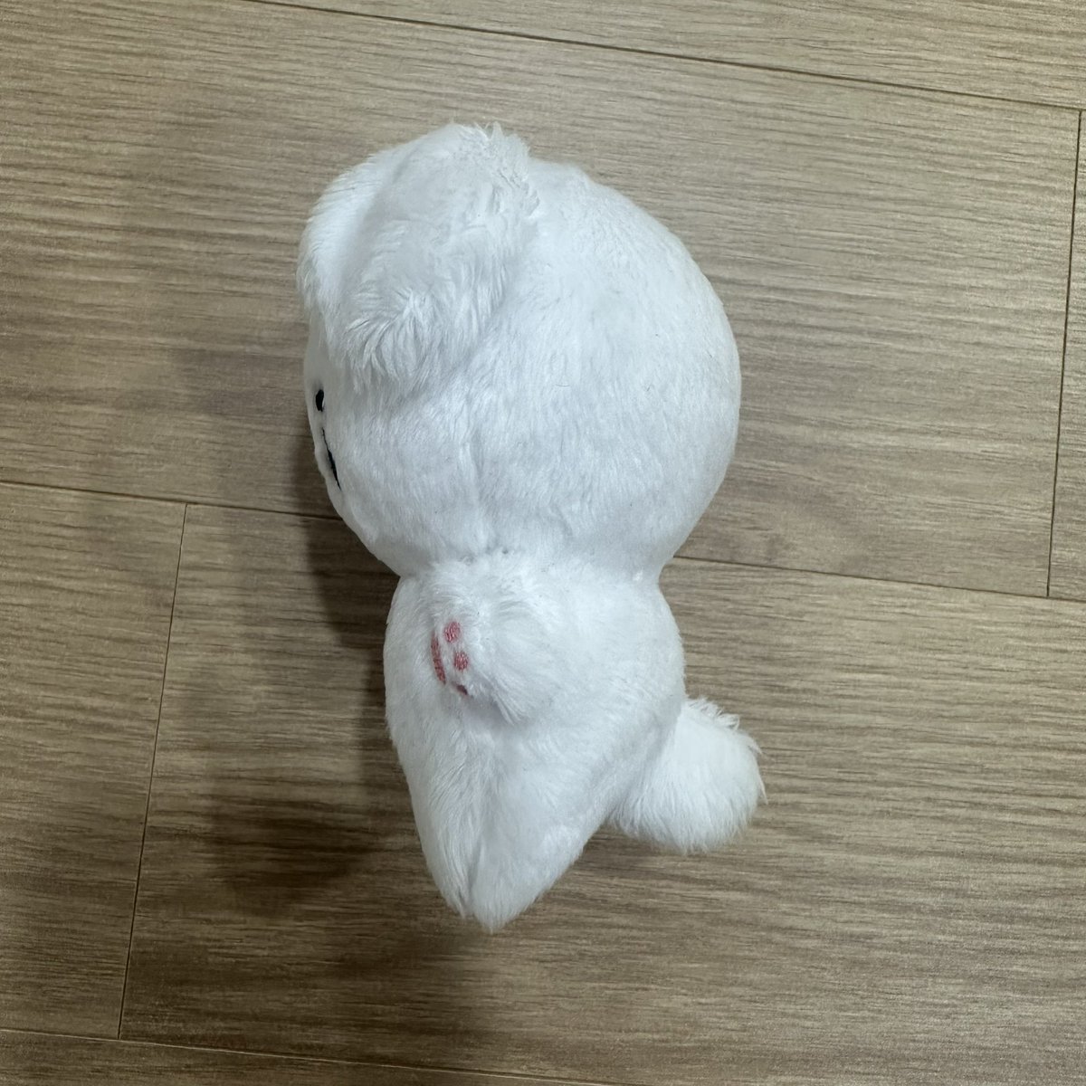 grgr0_0's tweet photo. 우주소녀 설아 10cm 인형 설동이 양도

택 제거, 털 정리, 미용했고 특전 전부 있어요
외출, 목욕 x
택배비 포함 15000원 https://t.co/HqyFA1AEn7
