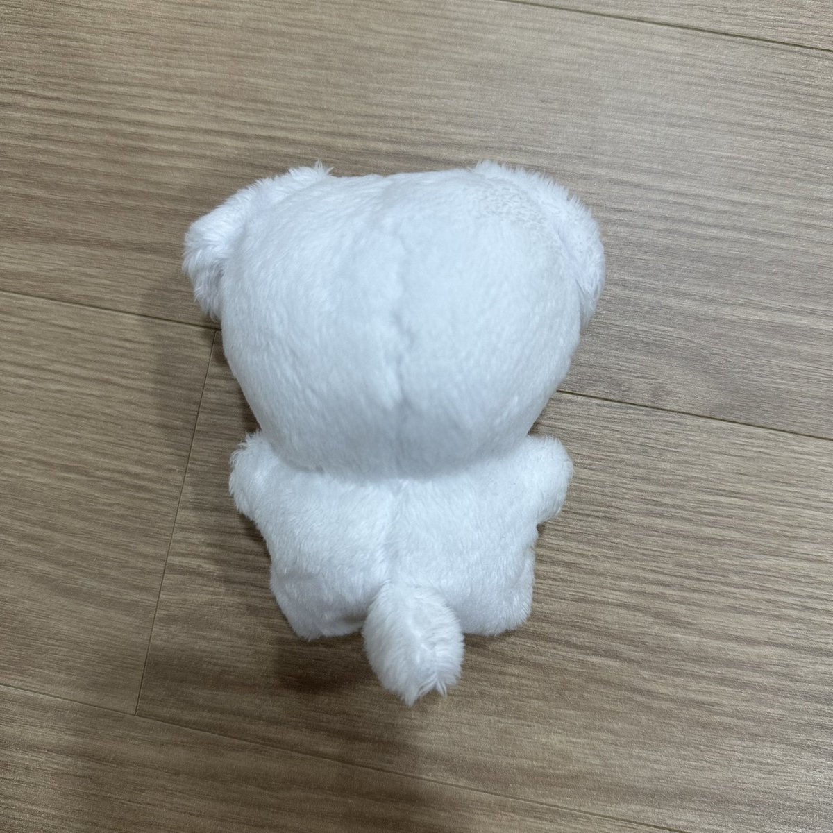 grgr0_0's tweet photo. 우주소녀 설아 10cm 인형 설동이 양도

택 제거, 털 정리, 미용했고 특전 전부 있어요
외출, 목욕 x
택배비 포함 15000원 https://t.co/HqyFA1AEn7