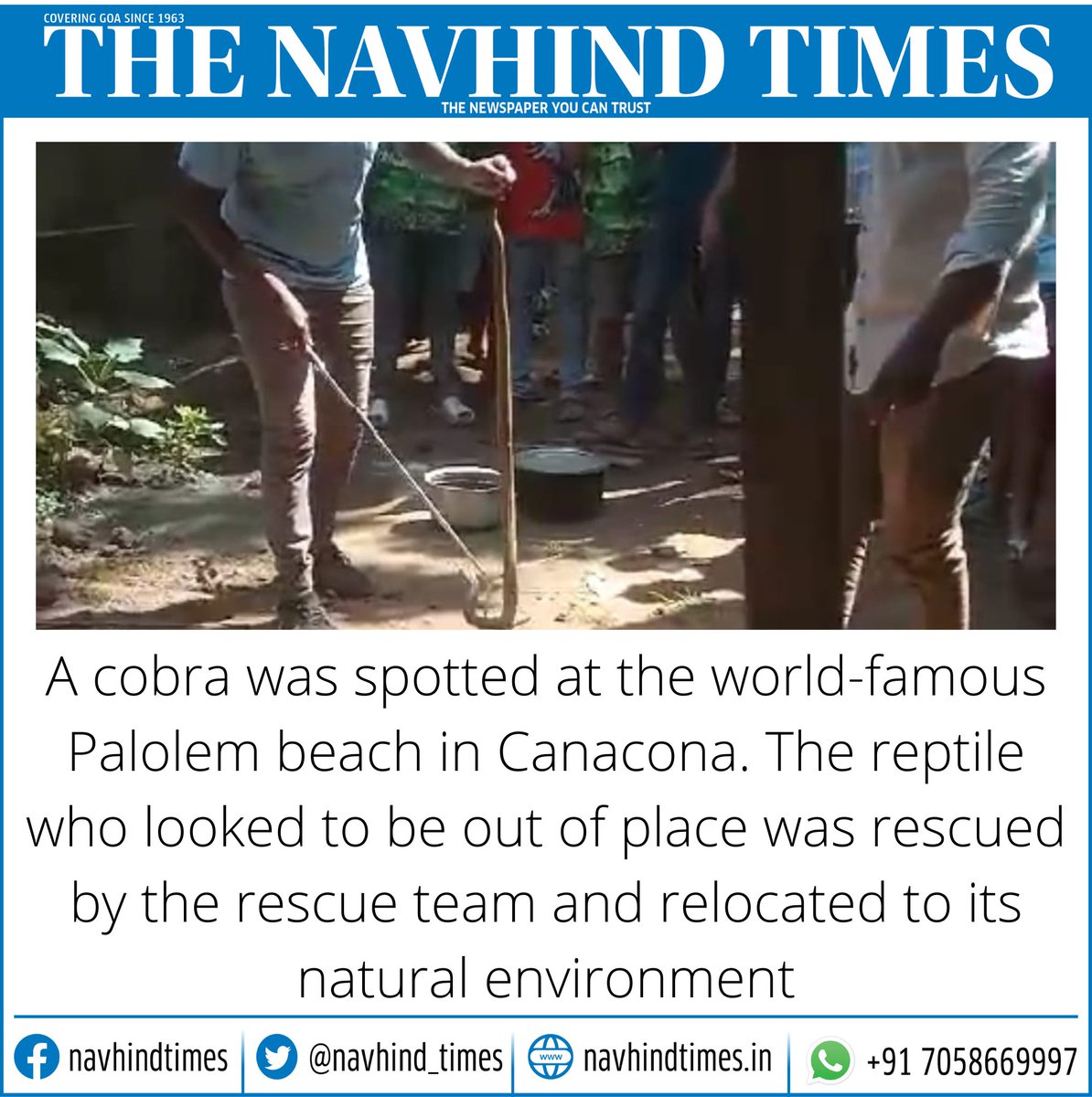 #cobras #snakerescue #palolembeach #GoaNews #NavhindTimes