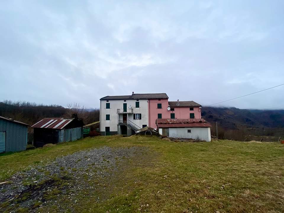 parcoantola's tweet photo. Antichi orizzonti. Tra campi e cieli aperti, la vita rurale insegna la bellezza della semplicità.
Croso di Montebruno.
#Buongiorno
#vita #contadina
#7gennaio
#Heidi https://t.co/udJHjxgEg3