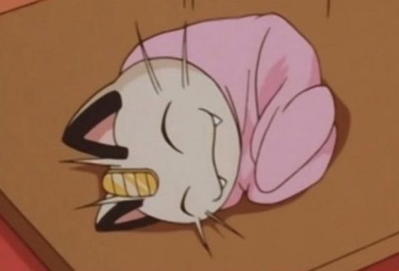 vvvewww's tweet image. 새사람이 되겠다고 다짐한거 다~~~ 까먹었다옹~~~~~~~~~~ 뒹굴뒹굴할거임 언제나.. 평생… 영원히…