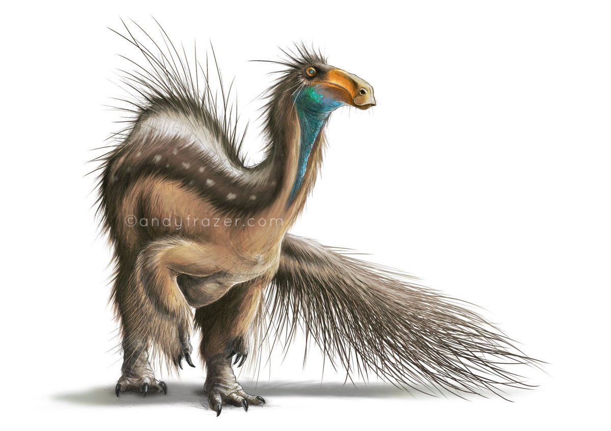 Deinocheirus sketch.