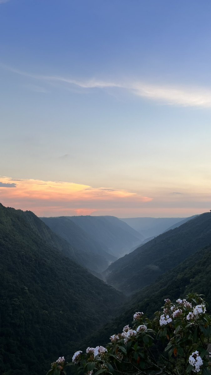 Ayush Agarwal tweet media