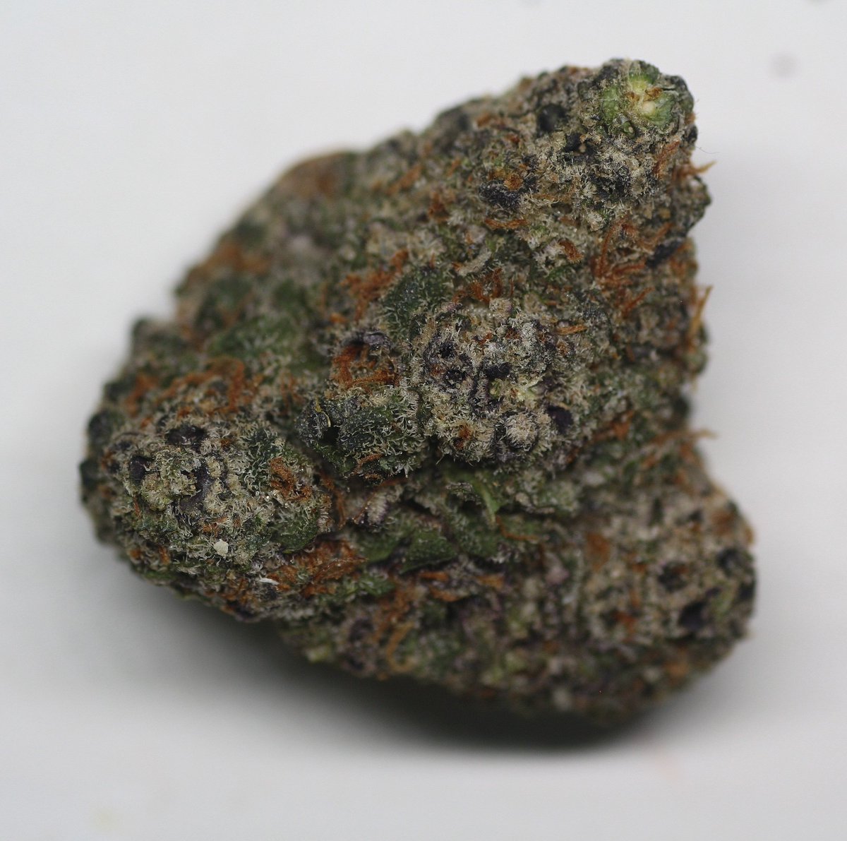 OutbackAnd's tweet image. Great customer service in Thailand 🇹🇭. Last time leaving the dispensary my man slung me 5g of this Exotic Genetix Dream Factory on the house. Nice 🔥💨💨💨