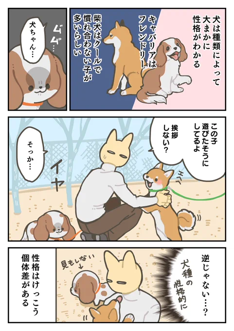 犬日記 犬がみんな陽キャってわけでもない 