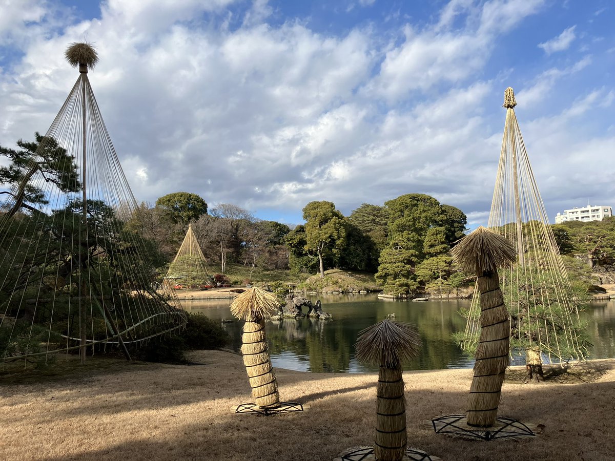 gayxi's tweet photo. 六義園の雪吊り https://t.co/SqtNYHuupA