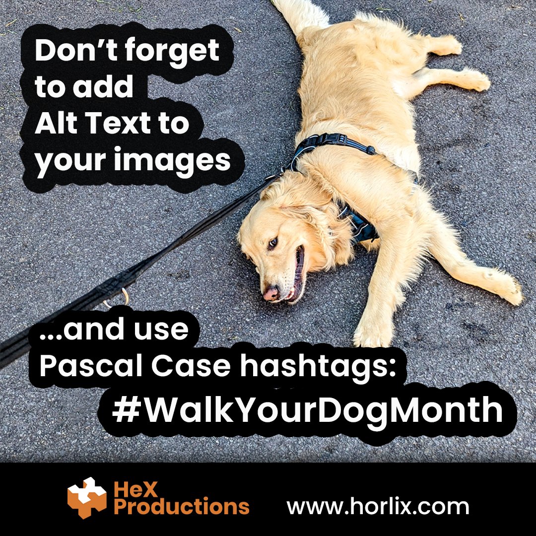 HeX_Productions's tweet image. If you&apos;re taking part in activities like #WalkYourDogMonth (hopefully they are more successful than my dog walking attempts), don&apos;t forget to add #AltText to your imagery and use #PascalCase hashtags instead of lowercase. Then, everyone gets to enjoy your loveable pooches.

#A11y
