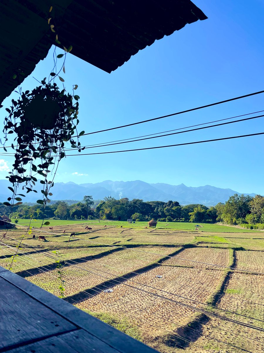 Ten days (half way through) a trip dotting around Thailand on a moped and not quite sure how I’m gonna cope with going back to work