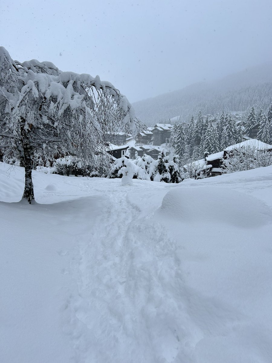 3valleychalets's tweet photo. epic snowfalls in La Tania on Jan 7th #epicsnow #latania #courchevel https://t.co/jkVOkxtSXi