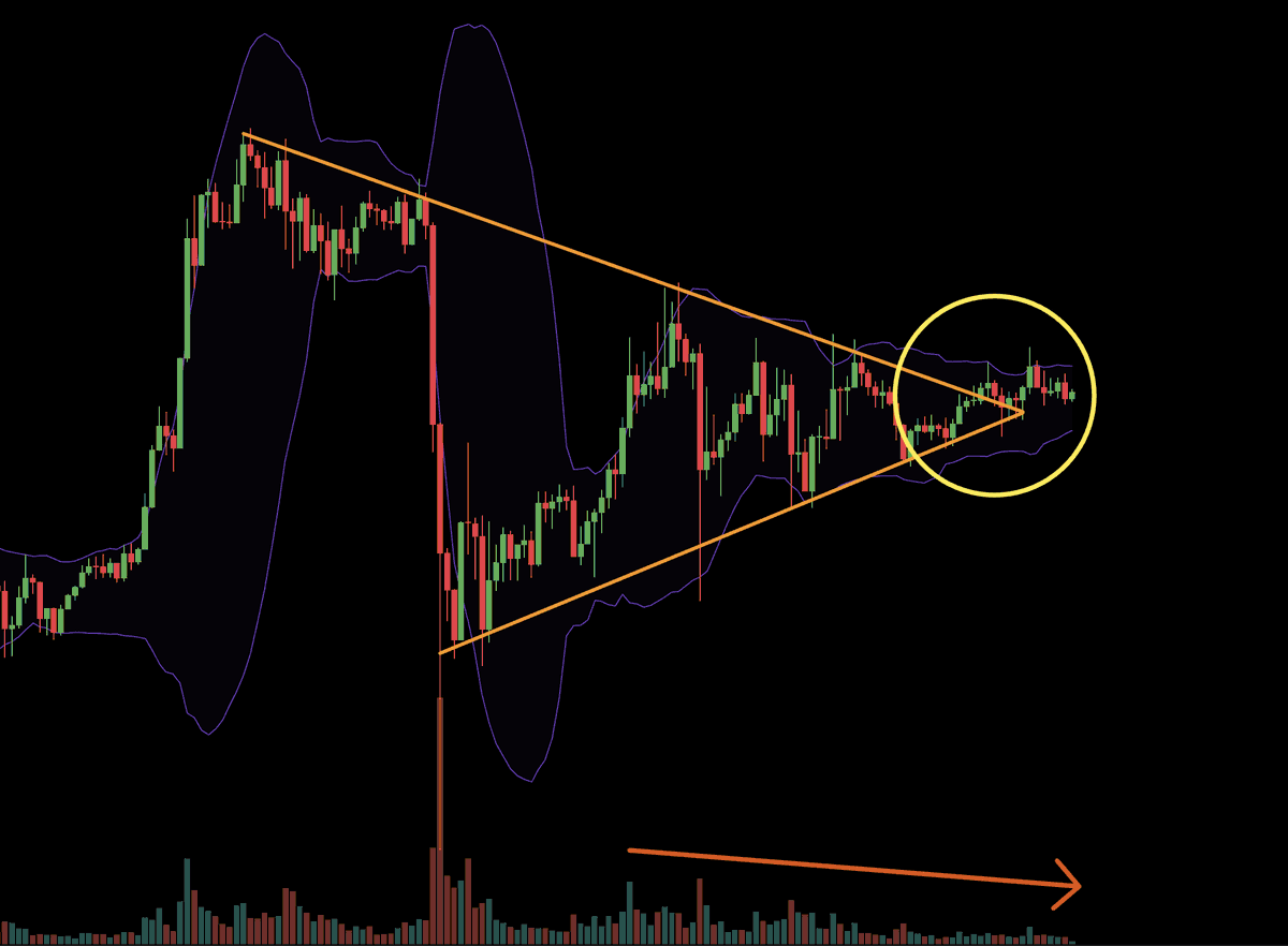 CryptoKid tweet picture