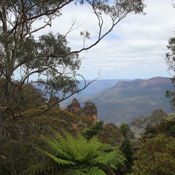 KennedCafe's tweet photo. My first bushwalk for the year in the Blue Mountains - along the beautiful Prince Henry cliff track, in Katoomba https://t.co/CXA71BSSzz
