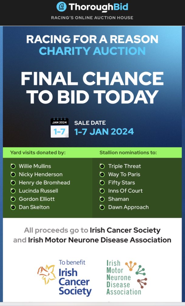 ThoroughBid tweet media