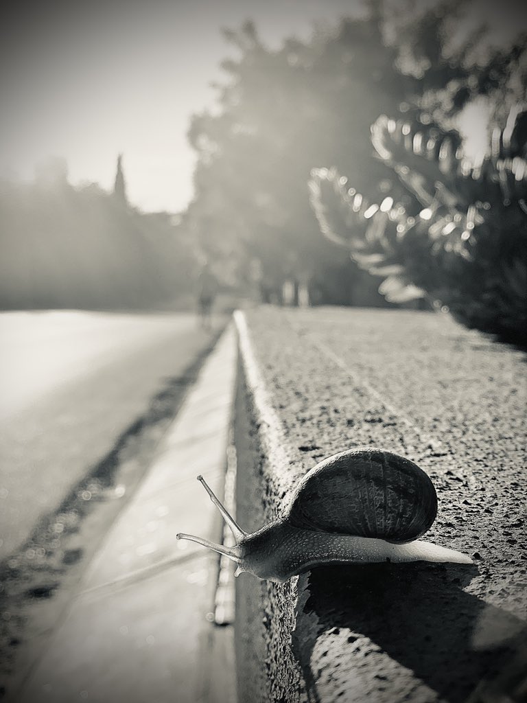 Marli Wentzel tweet media