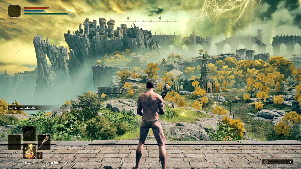 New Run New Fun 
🗡🩸🖤
#ELDENRING 
#PS5Share