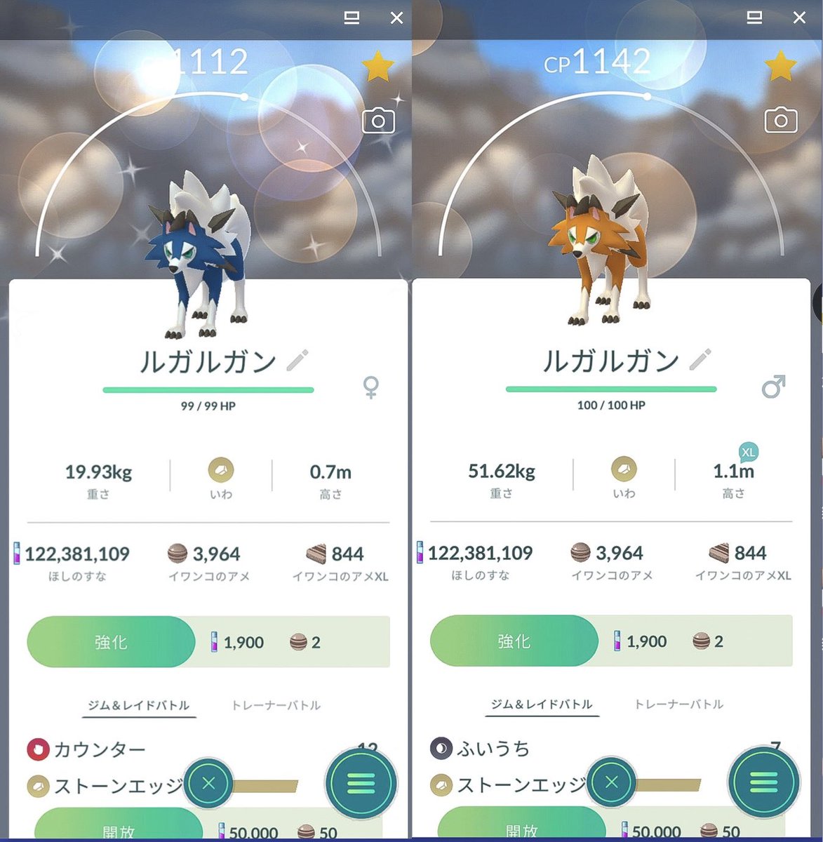 sensray's tweet photo. #PokemonGO
#ポケモンGO
#Rockruff
#イワンコ
#たそがれ
#DuskForm https://t.co/GqYBWWzay3