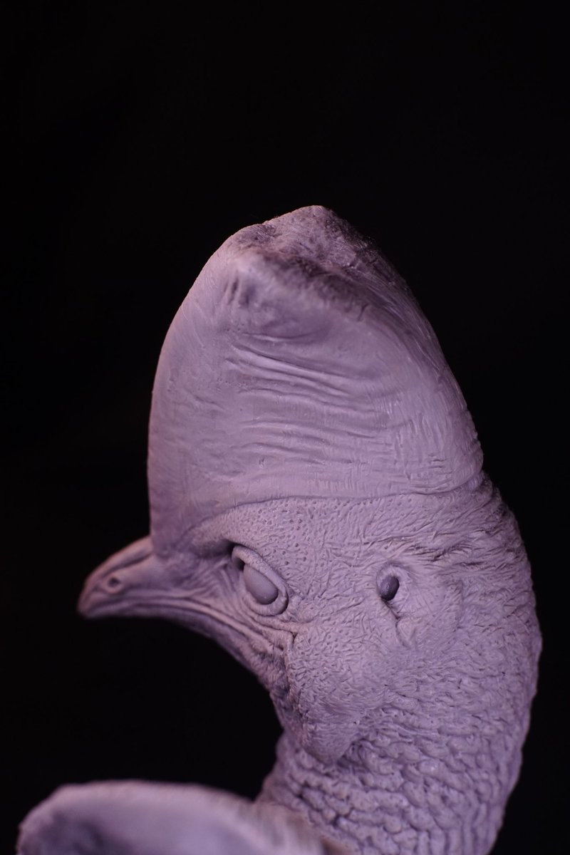 TZUCHILEE2's tweet photo. 舊作回顧 北方(單垂)鶴鴕(2020)
#Casuarius unappendiculatus https://t.co/8W0eoj6Wih