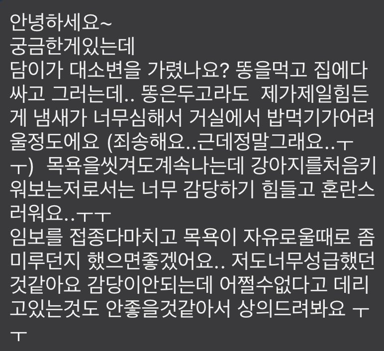 xmashaedahl's tweet photo. 담이의 임보가 취소되었습니다.
입양 전제 임보자님 찾습니다. https://t.co/wKORVS9wdb