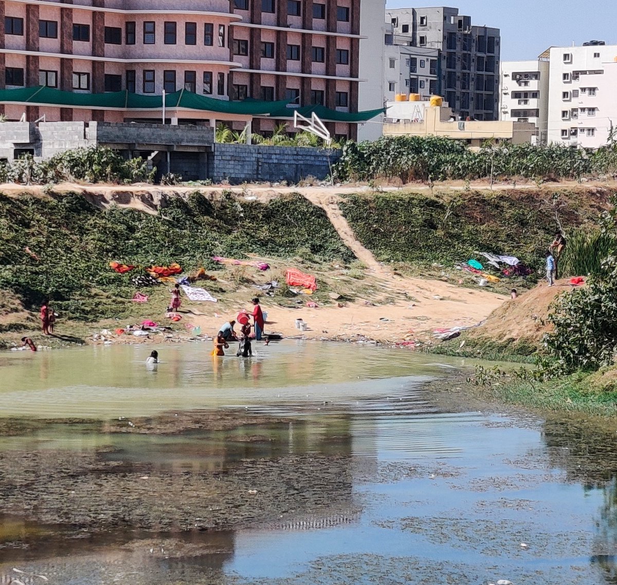Namma_ECity's tweet photo. Help save @ShikaripalyaL

Rejuvenation going waste

STP regulations are missing

Drainage system missing

@osd_cmkarnataka @NGTribunal @NGCKarnataka @karnatakakspcb @aranya_kfd @rdwsd_gok @CPCB_OFFICIAL @jaljeevan_

#SaveElectronicCityLakes
#SaveBengaluruLakes
#BrandBengaluru https://t.co/q5h81reUyB