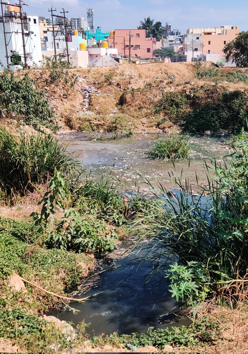 Namma_ECity's tweet photo. Help save @ShikaripalyaL

Rejuvenation going waste

STP regulations are missing

Drainage system missing

@osd_cmkarnataka @NGTribunal @NGCKarnataka @karnatakakspcb @aranya_kfd @rdwsd_gok @CPCB_OFFICIAL @jaljeevan_

#SaveElectronicCityLakes
#SaveBengaluruLakes
#BrandBengaluru https://t.co/q5h81reUyB