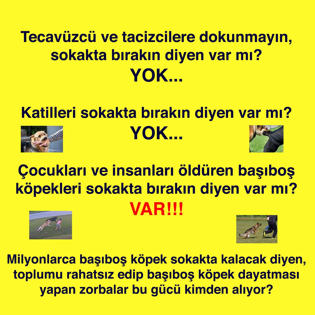 dirilisyolunda's tweet photo. Soruyorum: Çocukları öldüren başıboş köpekler sokakta kalsın diyenler bu gücü nereden alıyor?

Mama lobisi mi, bağış rantı mı?

  #TURvNED Ferdi Semih veganlar #BizimCocuklar https://t.co/9rKi3DpX26