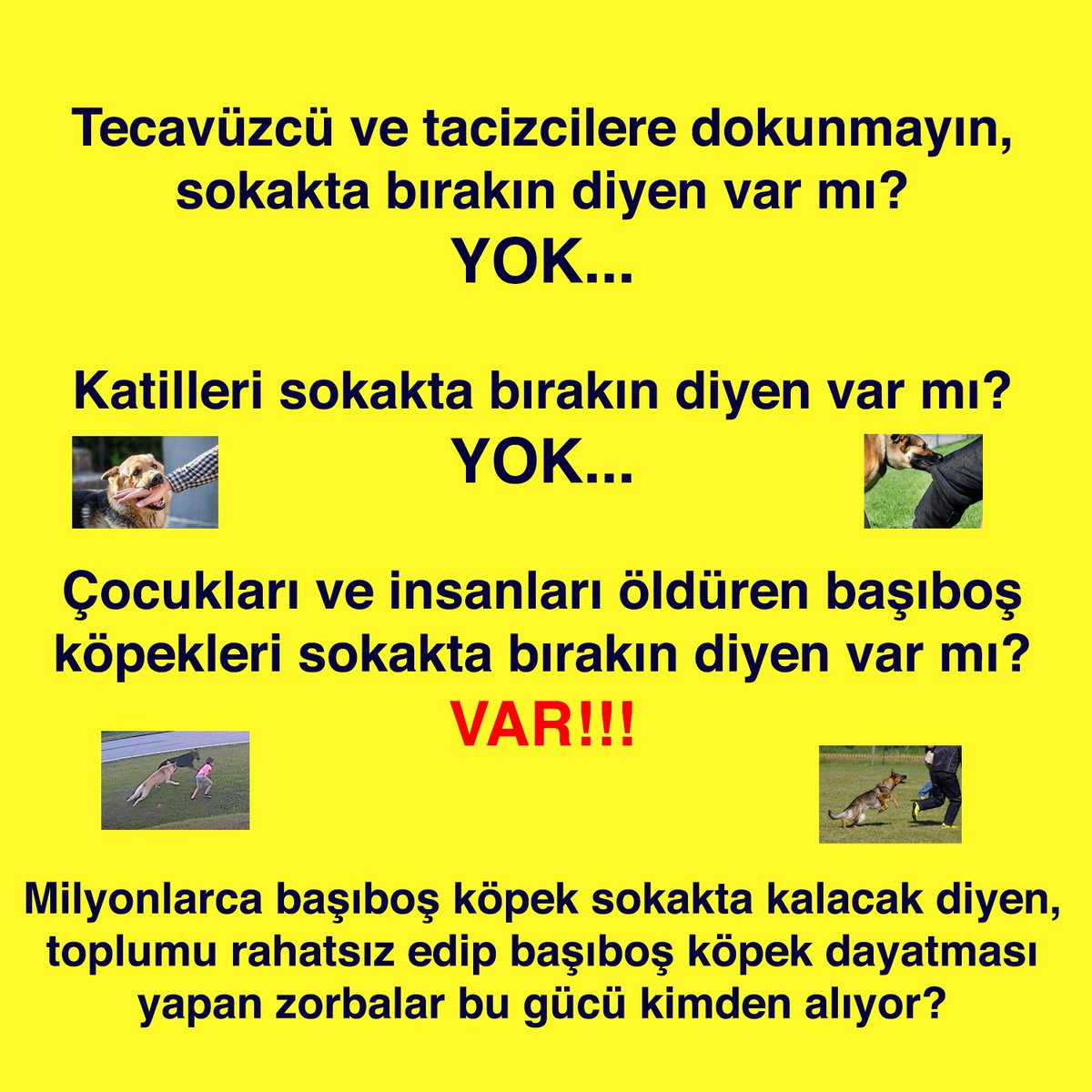 Soruyorum: Çocukları öldüren başıboş köpekler sokakta kalsın diyenler bu gücü nereden alıyor?

Mama lobisi mi, bağış rantı mı?

  Ömer Üründül #SurvivorAllStar Vali Dortmund DÜNYANIN EN BÜYÜK SPOR KULÜBÜ