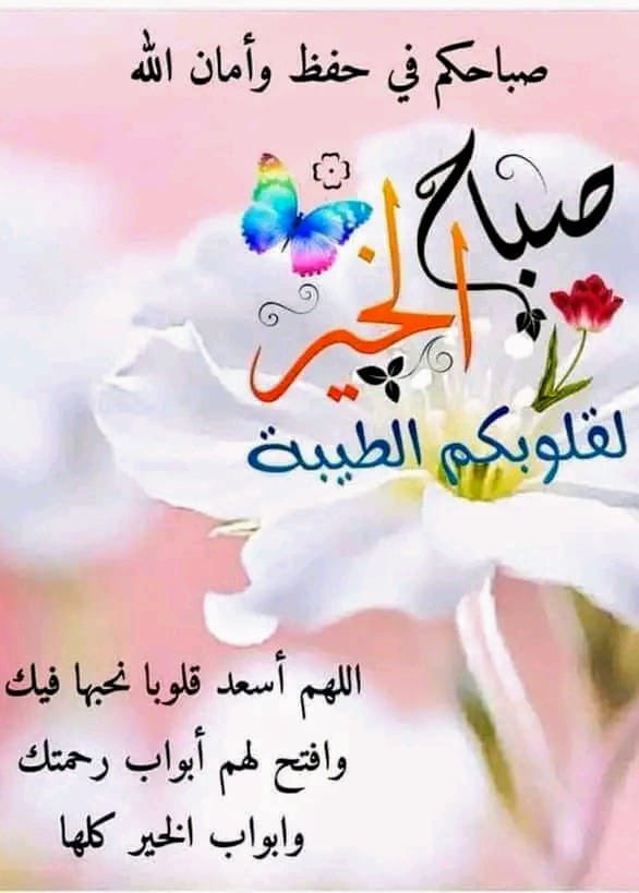 خالد كلشانى tweet media