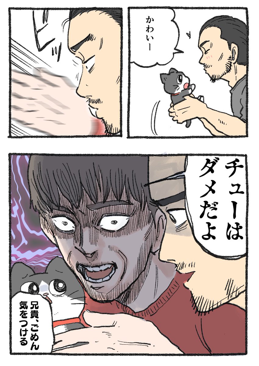 ねこに転生したおじさん。その337