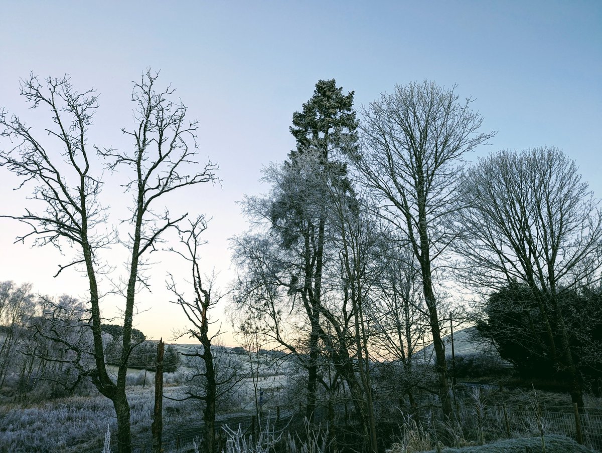 StuartLang9's tweet image. -5 this morning but nice #Scenery #workcommute #SCOTLAND #scenic