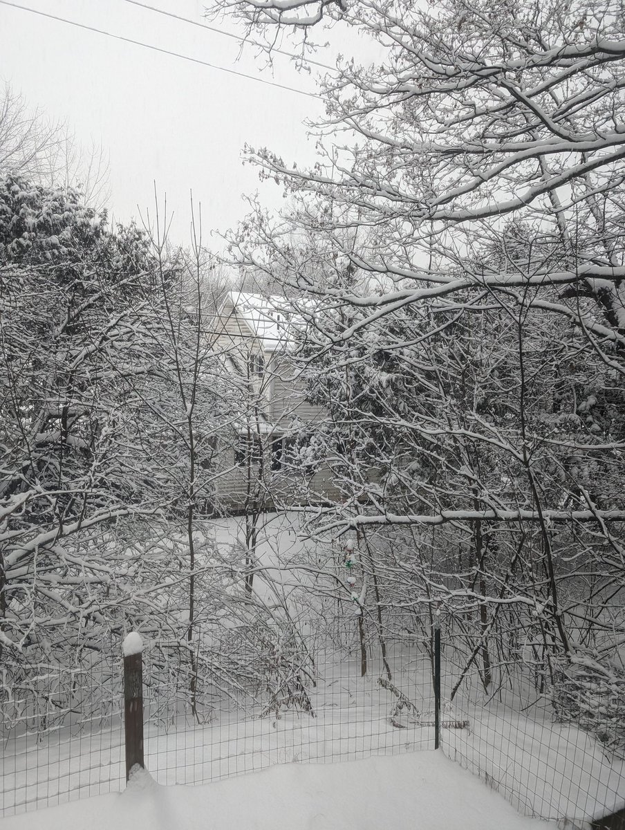 KnightDivining's tweet photo. Winter Wonderland in Upstate NY today ❄️🥶 It's beautiful to look at, but shoveling it is another story 😅 #snow #winterstorm #WinterWonderland #northeast https://t.co/YJoOYNf87q