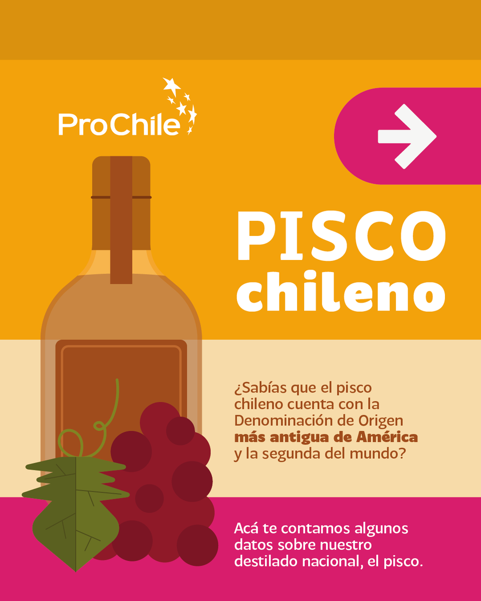 ProChile's tweet photo. ¿Sabías que el pisco es el destilado más consumido en Chile?
Se consume más pisco que todos los demás destilados juntos, y a nivel internacional sigue acumulando medallas en las más altas competencias🏅 Y hoy se puede encontrar en bares del mundo 🇨🇱✈️ https://t.co/jjGJXnDHE2