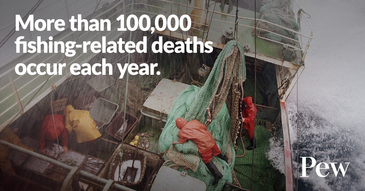 The alarming truth: Fishing is more deadly than ever. More than 300 fishers die every day—but it doesn’t have to be that way. Learn more: pew.org/3NphuV8 📷 Getty