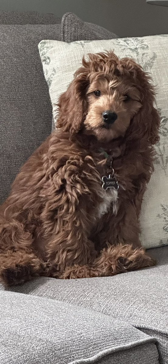 Greg Fisher tweet media