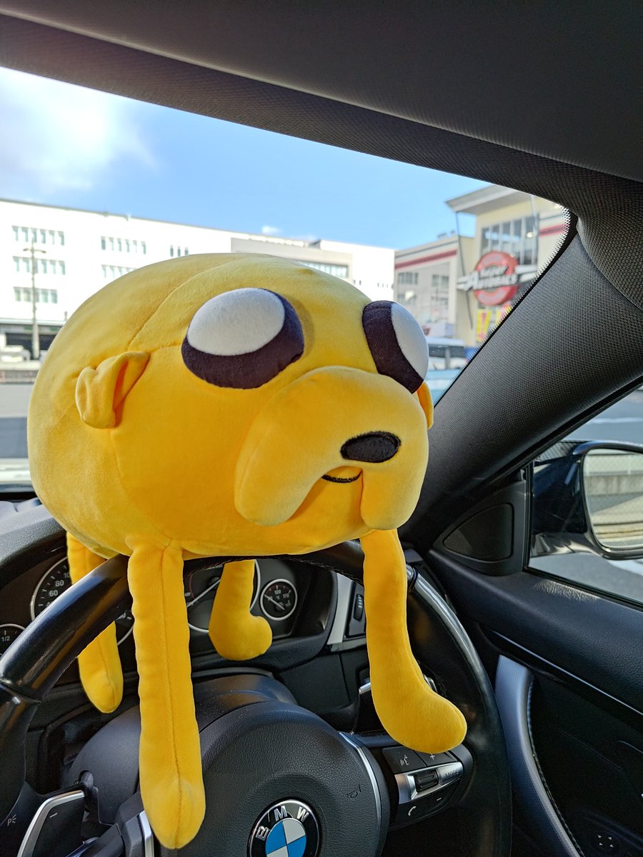 Ron8809's tweet photo. オートバックス
#愛犬と愛車 https://t.co/HwUbG4Exp0