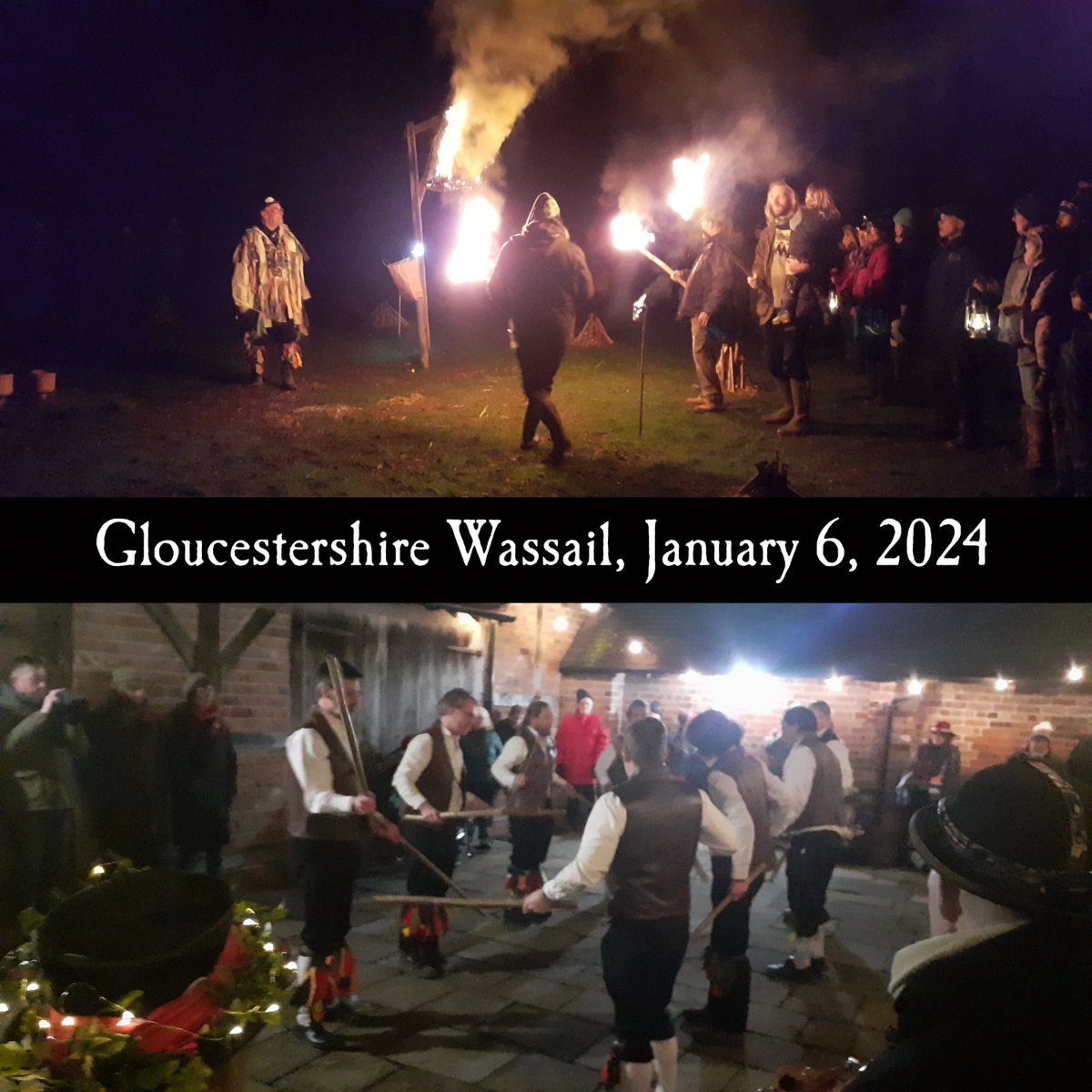 Candia McKormack 🏳️‍⚧️ tweet media