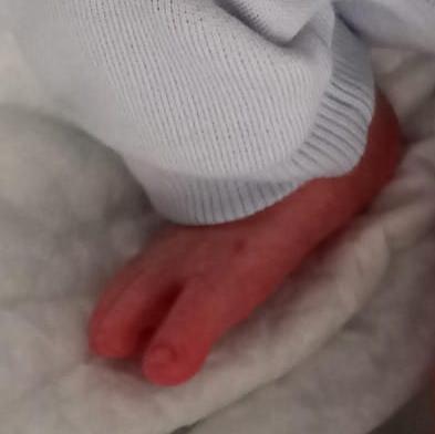 ProyectoMater's tweet photo. Damos gracias a Dios por el nacimiento de un bebé en el día de ayer. No podemos estar más contentos con el regalo que nos trajeron los Reyes. Os pedimos  sigáis rezando por  todas las madres que han pasado, están y llegarán a @Proyectomater  Unidos en oración 🙏.@caritasto https://t.co/JI6uOa3e1n