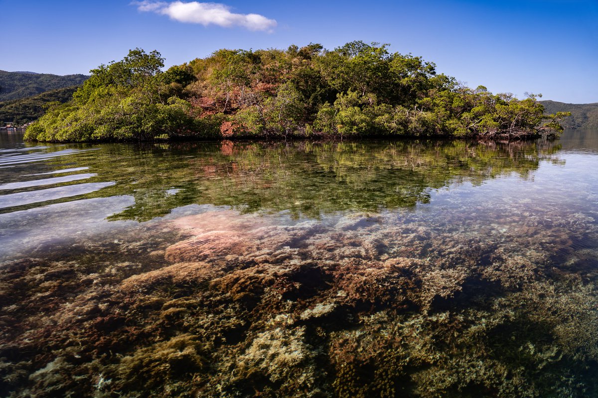 Arrecife en Mochima

<a href="/tineophoto/">Manuel Tineo</a>