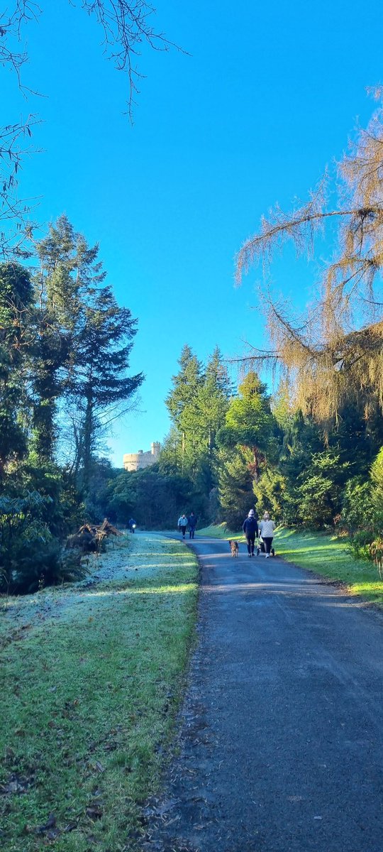 diarmuidpring's tweet photo. Day7 #100daysofwalking Glenstal Abbey, Murroe, #Limerick. Absolutely fabulous morning. Recently, the Benedictine Monks planted 2,500 native Irish trees on the grounds as part of the project to plant 100mill trees #nationwide Householders and landowners can contribute. #round2crew https://t.co/cJBMWf5K9r