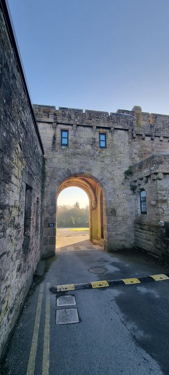 diarmuidpring's tweet photo. Day7 #100daysofwalking Glenstal Abbey, Murroe, #Limerick. Absolutely fabulous morning. Recently, the Benedictine Monks planted 2,500 native Irish trees on the grounds as part of the project to plant 100mill trees #nationwide Householders and landowners can contribute. #round2crew https://t.co/cJBMWf5K9r