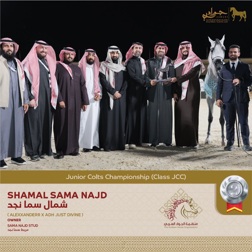 🥈 البطل الفضي
الأمهار عمر سنتين وثلاثة 

SILVER CHAMPION 🥈
Junior Colts 

Congratulations to Sama Najd Stud