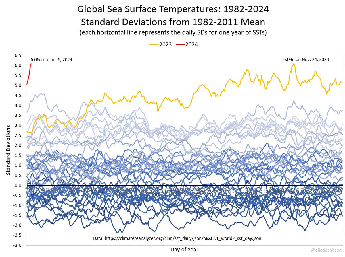 Breaking News! Code UFB!!! For the second time in recorded history, global sea surface temperatures hit six standard deviations over the 1982-2011 mean, reaching 6.06σ on January 6th, 2024. On tenterhooks to see if 2023's 6.08σ record will be broken with tomorrow's data.