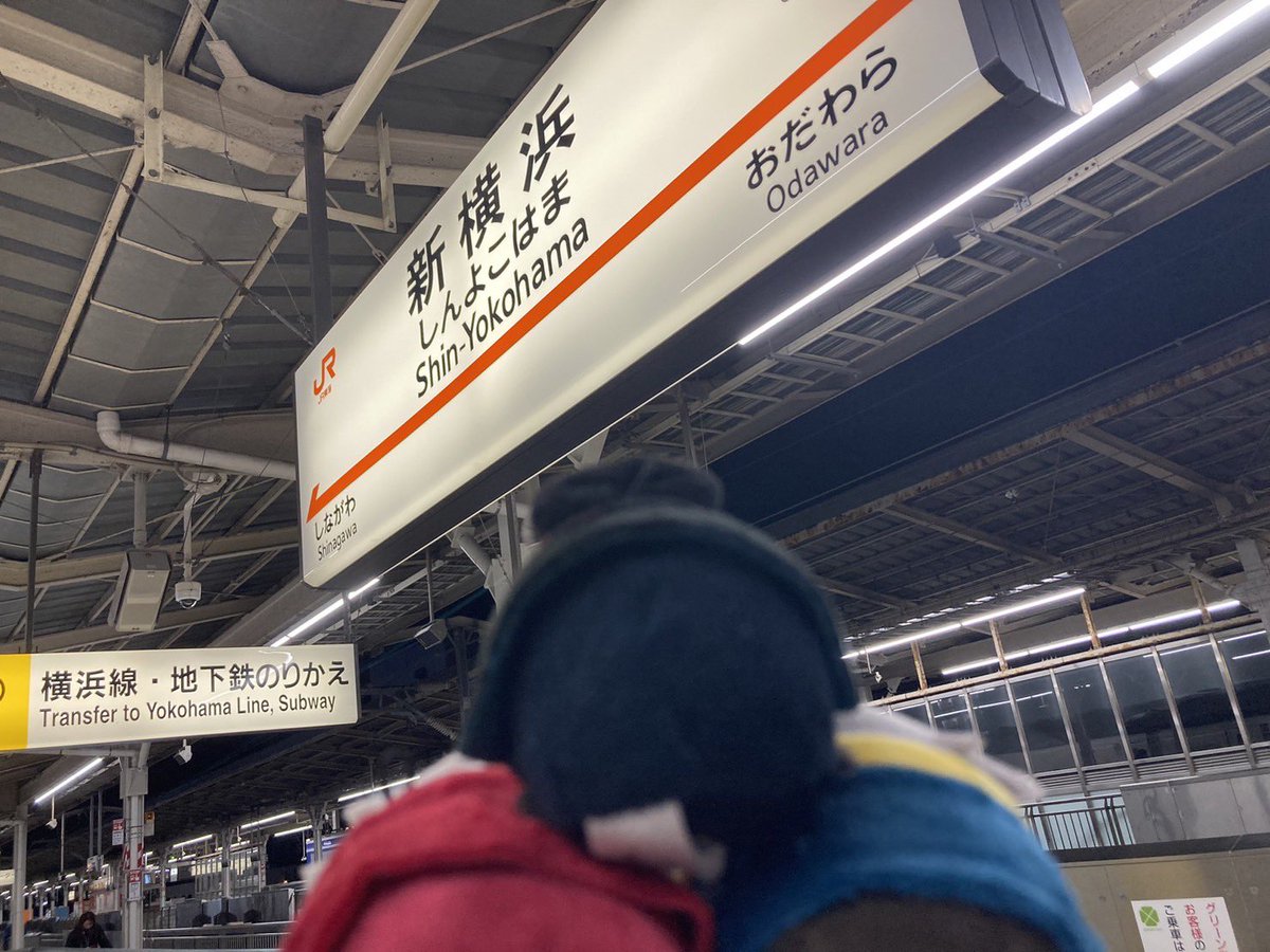 bungosd_anime's tweet photo. 【土佐道中記】今回はコラボ第一弾の春河先生のイラストの2人と、アニメでは設立秘話に福地さんも出ていたのでこの3人旅。イベントで教えていただいたお土産買いました！

帰りは3人で──

🐺「猫も食べられるカツオを買った」
👓「あげる猫飼ってないのに？」
🐺「……」
🐶「儂は酒だ！」

#bungosd https://t.co/TvjtHHN5jZ