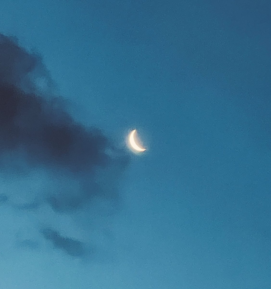 Q ™️ tweet media