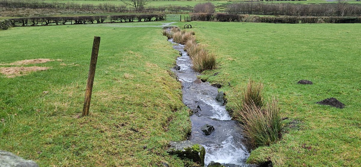 How many times have you seen this? It is this ridiculous modification of floodplain tributaries into flow super-highways that has added to the massive flood burdon the UK has faced in the past week. Naturalise these everywhere and downstream flood risk will be reduced. SIMPLE...